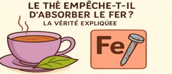 Le thé empêche-t-il vraiment d'absorber le fer ? La vérité expliquée
